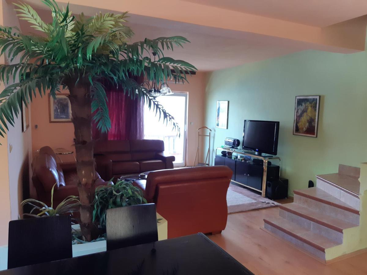 Villa Garden Apartments Херцег Нови Екстериор снимка